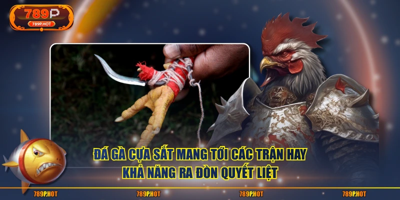 Đá gà cựa sắt mang tới các trận hay, khả năng ra đòn quyết liệt
